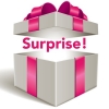 Image 1 : THE SURPRISE BOX - A Big Surprise In Every Box