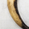Image 3 : Vintage Black Powder Horn with Wooden Plug & Spout – Approx. 9"