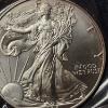 Image 2 : 1996 United States 1 Oz .999 Silver Eagle - See Pics