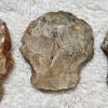 Image 8 : EARLY AMERICAN! Antique Assortment of Native American Stone Artifacts including Arrow/Spear Heads