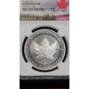 Image 8 : NGC 2019 "Pride of Two Nations" 2-Coin Set Featuring US Silver Eagle & Canadian Silver Maple Leaf