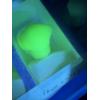 Image 5 : URANIUM Adorable Degenhart Glass Dog Figurine - Fawn White - ~2.5 inches ~ BRILLIANT GLOW