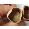 Image 4 : Two Unsearched Rolls and (13) Loose Lincoln Memorial Cents Face Value ~$1.13