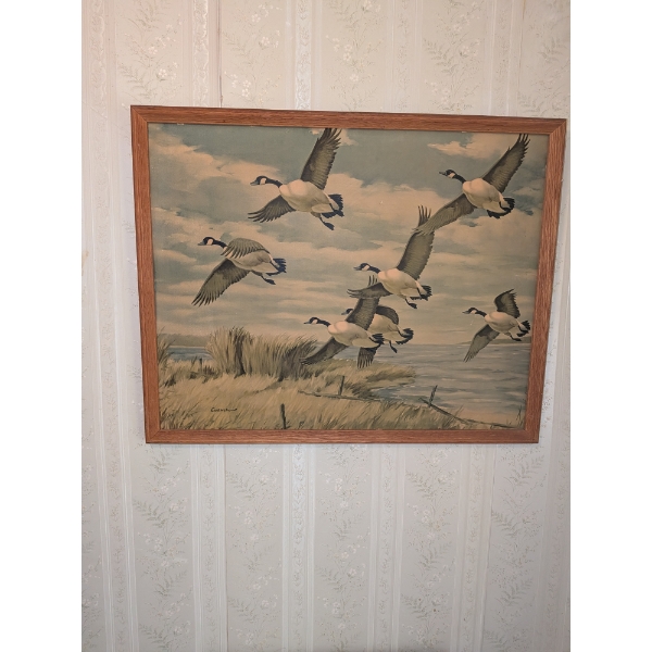 Goose Framed Picture