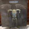 Image 5 : Vintage 33 rpm LPs - 11 Pc Lot As Shown - See Pics