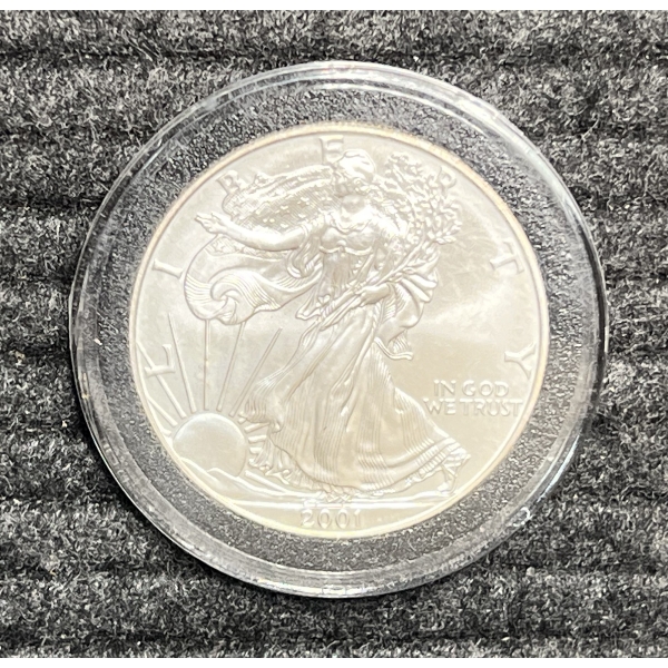 2001 American Silver Eagle