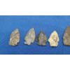 Image 6 : (7) Assorted Sized Arrowheads