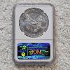 Image 2 : NGC MS69 Graded 2011 .999 Fine Silver 1oz. Eagle
