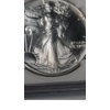 Image 3 : NGC 1989 MS 69 1 Troy Oz .999 Fine Silver American Eagle