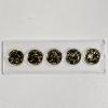 Image 1 : SPECIAL EDITION!!! United States 50 State Quarters Holographic Gold Clad 5 Coin Set