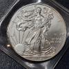 Image 1 : 2008 Uncirculated United States Silver .999 1 Oz Eagle