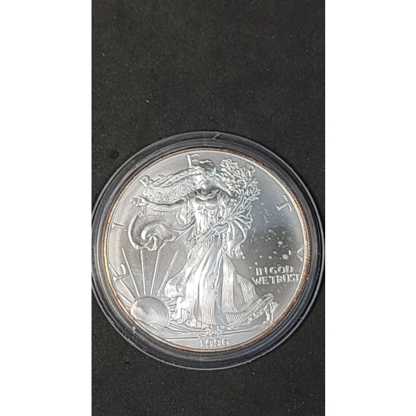 1996 1 Oz .999 Fine Silver American Eagle In Coin Capsule