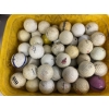 Image 3 : Huge Bucket of Golf Balls - Includes Indians - Top-Flite - Balata LD+10 - Pinnacle - Titleist