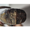 Image 4 : Original World War II Imperial Japanese Navy Officer's Katana