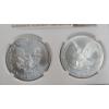 Image 2 : NGC 2021 MS 70 1 Troy Ounce .999 Fine Silver U.S American Eagle 2-Coin Set - Type 1 & Type 2