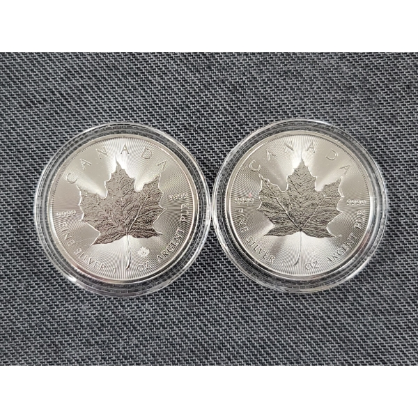 Lot of Two 2024 1 Oz 9999 Fine Silver Maple Leaves (2 Oz of Silver) - In Protective Capsules