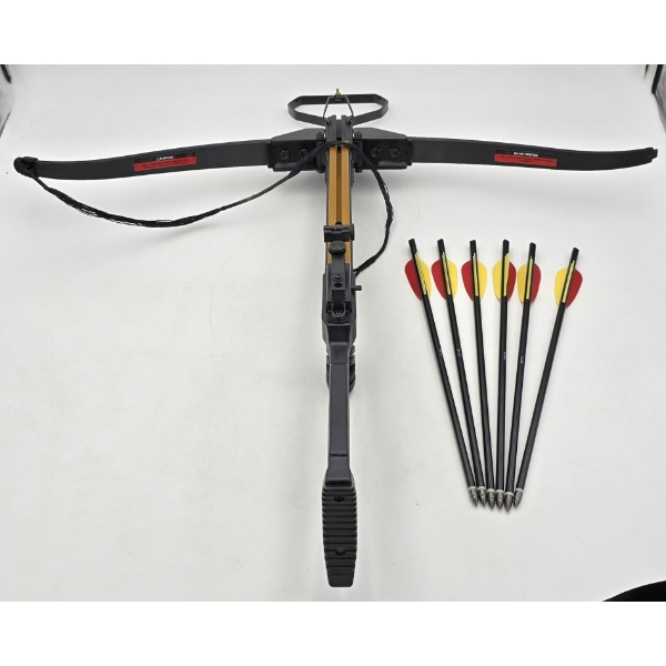 Crossbow with 6 Arrows
