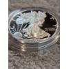 Image 5 : 2006 Silver American Eagle Proof - AFV $1.00