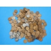 Image 1 : Lot of Approx. 300 Assorted Lincoln Wheat Pennies Including Steel Pennies