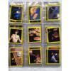 Image 18 : DC Licensed Trading Stickers - Batman: The Animated Series - 24 Pages x 9 Stickers = 243 Stickers!!!
