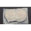 Image 3 : (2) Small Sealed Split & Polished Ammonite Fossils 
