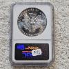 Image 2 : NGC MS69 Graded 1988 .999 Fine Silver 1oz. Eagle