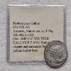 Image 1 : Trebonianus Gallus 251-253 AD Antioch Antoninianus 35% Silver Coin - 1.3265g ASW