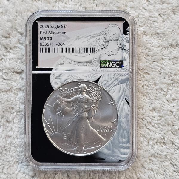 NGC MS69 Graded 2025 .999 Fine Silver 1oz. Eagle