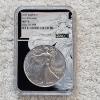 Image 1 : NGC MS69 Graded 2025 .999 Fine Silver 1oz. Eagle