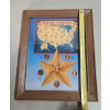 Image 13 : Historic Americana Depicted On Lincoln Cents In Frame - Face Value: $0.06