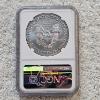Image 2 : NGC MS69 Graded 2019 .999 Fine Silver 1oz. Eagle