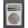 Image 3 : NGC MS70 Graded 2023-W 1 OZ Silver Eagle - Early Releases - Type 2
