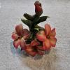 Image 3 : Authentic Capodimonte Porcelain Hibiscus Flower Figurine