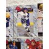 Image 4 : Small Lot of (9) Hockey Themed Trading Cards