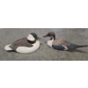 Image 1 : Exquisite Hand Carved Wood Ducks- Pintail & Bafflehead