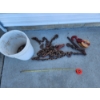 Image 1 : Lot of Chains, Hooks, Hoist, Chain Binders in Bucket