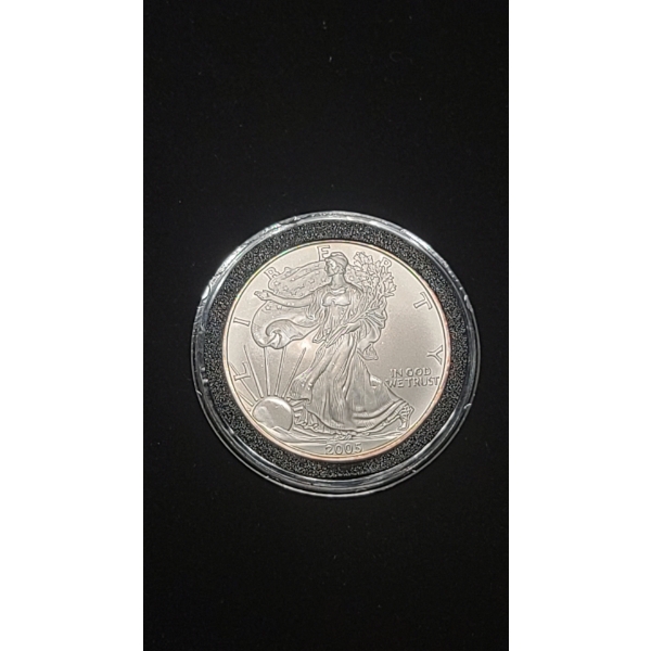Beautiful 2005 United States 1 Troy Oz Silver Eagle Round