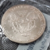 Image 4 : United States 2007 Silver 1 Oz American Eagle Round ~ Uncirculated In Littleton Coin Packaging