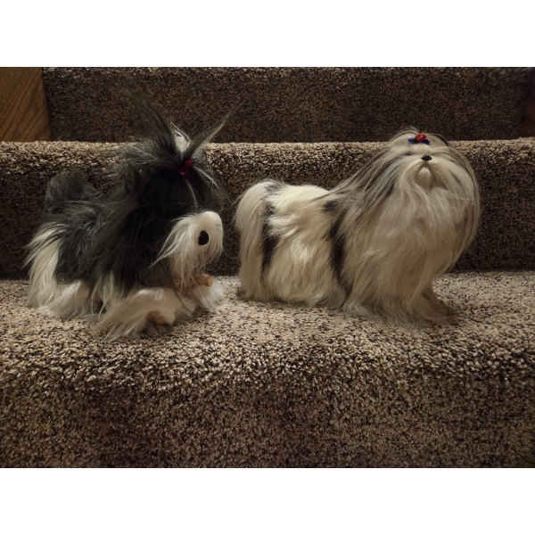 Shihtzu Group. Mouse Pad, New Ornaments, Life Like Replica Dogs, Books & More