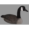 Image 2 : Solid Wood Carved Canadian Goose - Approx. 23"x9"x13"