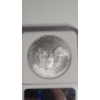 Image 4 : NGC 2009 MS 69 Early Releases 1 Troy Ounce .999 Fine Silver American Eagle