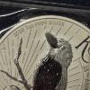 Image 3 : 2025 Australia King Charles III Silver 1 Oz .999 Kookaburra Dollar