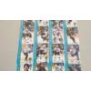 Image 5 : (24) 1990's Cleveland Jacks Hockey Trading Cards
