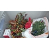 Image 1 : PICKUP IN NORTHFIELD - Large Tote With Holiday Decor As  Shown - See Pics