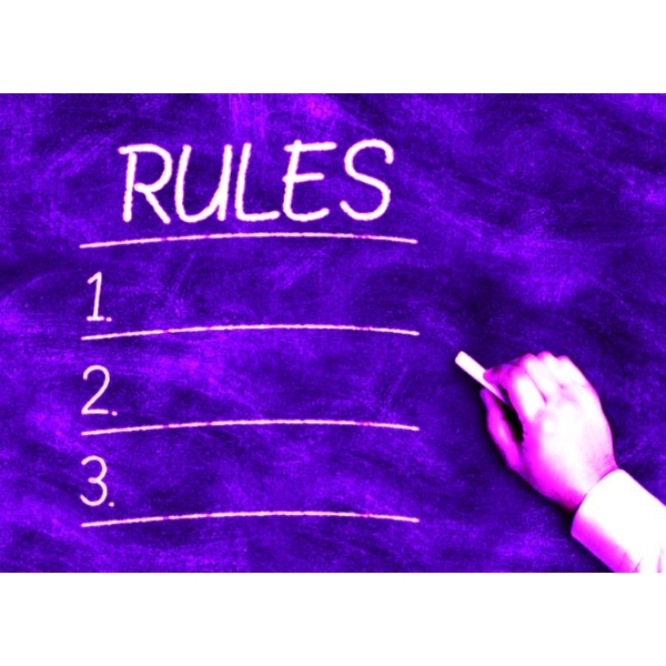 *Auction Rules & Terms!*    PLEASE READ! DO NOT BID ON THIS LOT!   Terms & Conditions Only