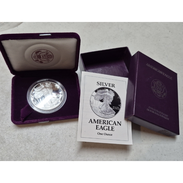 1993 P United States Proof .999 Silver 1 Troy Oz Eagle In Collector Case w COA