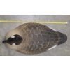 Image 3 : Eight Life Size Upright Geese Shell Decoys 