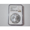 Image 1 : 2020-W Burnished Silver Eagle - 1 oz .999 Fine Silver - NGC MS 70