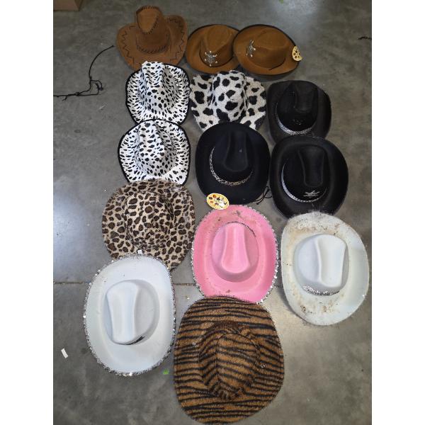 Fourteen Cowboy Type Hats