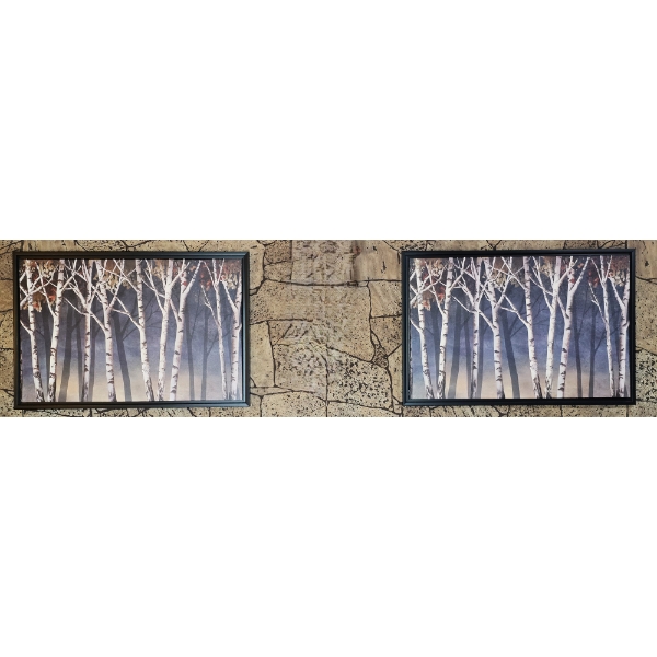 2 Matching Birch Tree Canvases - 37x25 